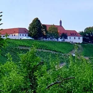 Vogelsburg